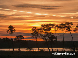Zonsopkomst, opkomende zon, Stappersven, Kalmthoutse Heide 5 180114