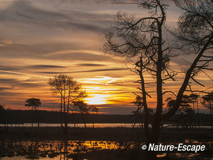 Zonsopkomst, opkomende zon, Stappersven, Kalmthoutse Heide 4 180114